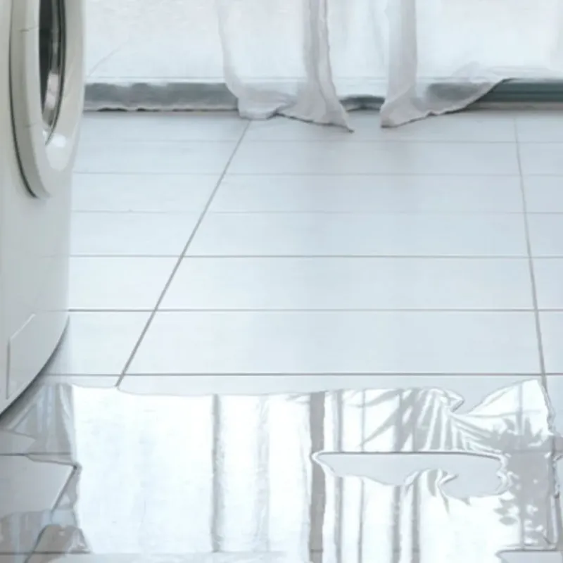 Appliance Leak Cleanup in Broadview, IL