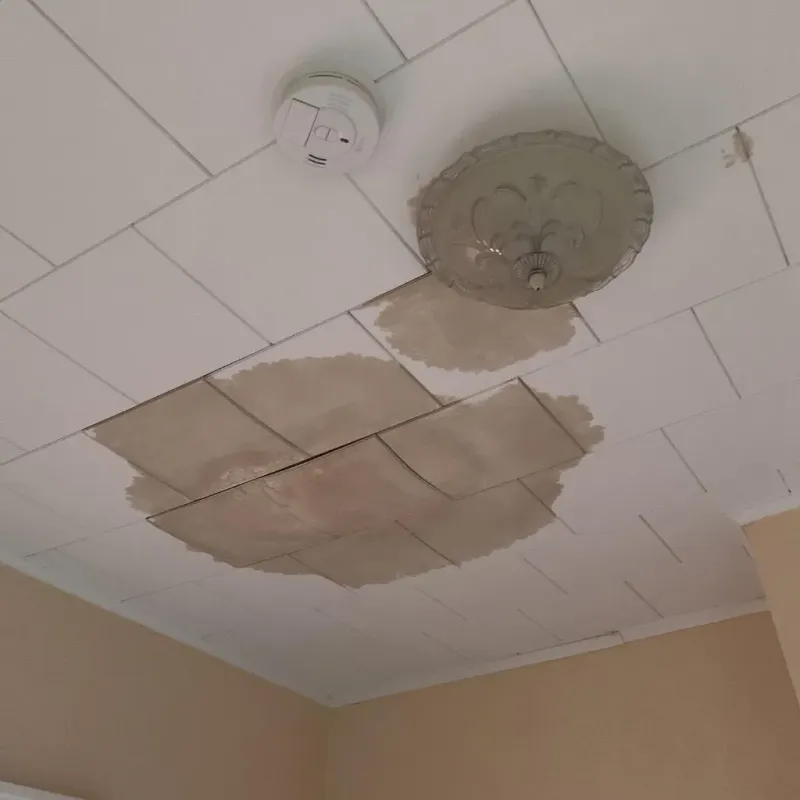 Ceiling Water Damage Repair in Broadview, IL