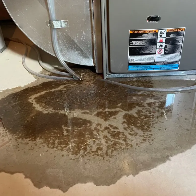Pipe Burst and Leak Restoration in Broadview, IL